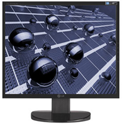 JoeComputer 19" LG LCD